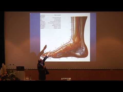1/4: Klaus Weber: Fußfehlstellungen und ihre Auswirkung auf die Körperstatik