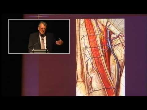 1/2: Prof. Dr. H.J. Günter: Aktuelle Therapie gegen Krampfaderleiden