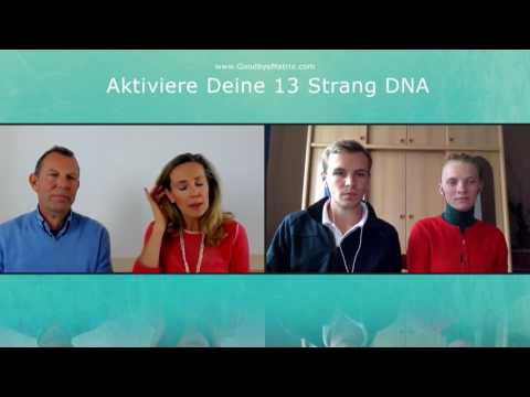 1/2: Monika Gössl, Thomas Meyer: Aktiviere Deine 13-Strang-DNA